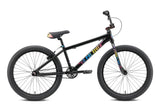 2024 SE So Cal Flyer 24