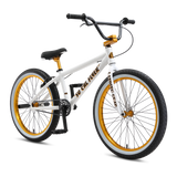 2024 SE So Cal Flyer 24