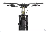 Aventon Ramblas eMTB