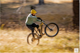 Aventon Ramblas eMTB