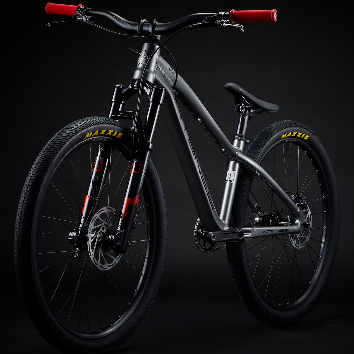 dirt mountainbike shop Intense DJ Expert-Silver