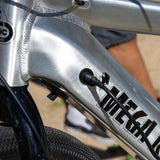 2026 SE Mega Ripper 29" - Ball Burnished Silver