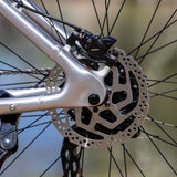 2026 SE Mega Ripper 29" - Ball Burnished Silver