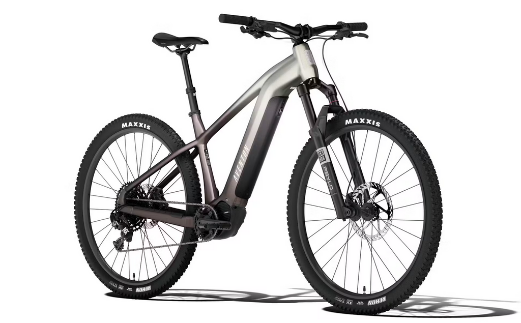 Ramblas ADV Ebike
