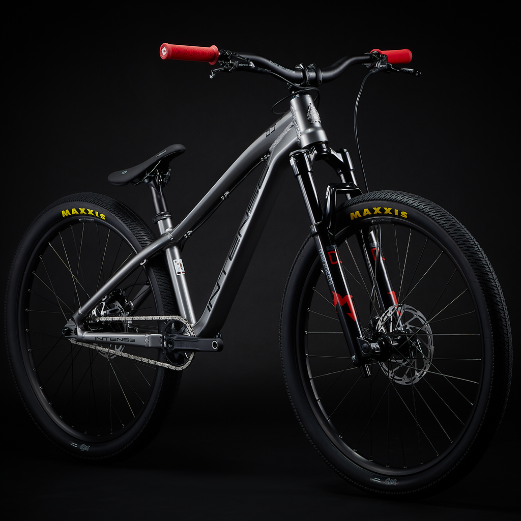 intense mountainbike Intense DJ Expert-Silver Large
