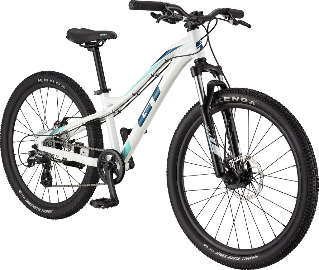 GT Stomper Ace 24 California Bike Snowboard