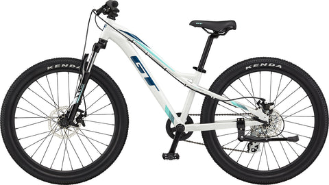 Gt stomper ace 24 for sale sales