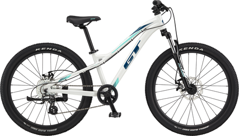 GT Stomper Ace 24 California Bike Snowboard